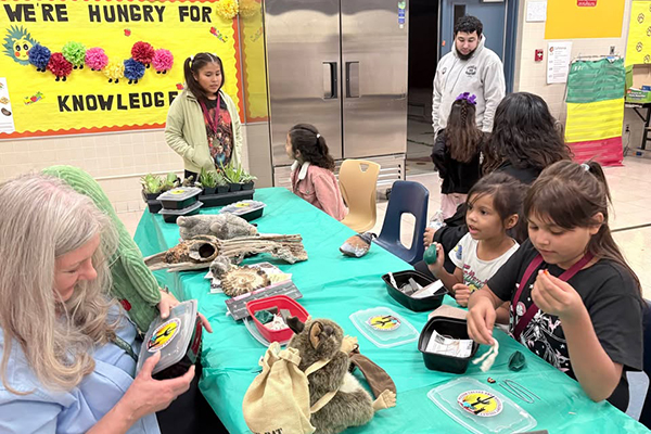 Students learn about desert plants and animals